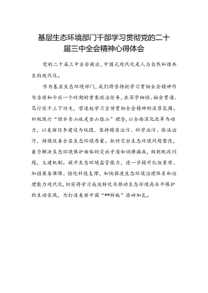 基层生态环境部门干部学习贯彻党的二十届三中全会精神心得体会.docx