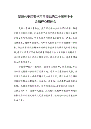 基层公安民警学习贯彻党的二十届三中全会精神心得体会范文.docx