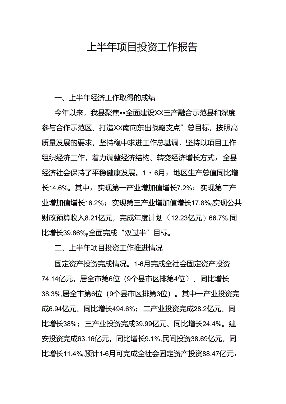 上半年项目投资工作报告.docx_第1页