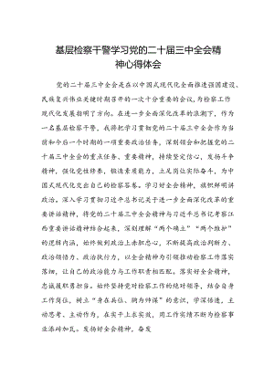 基层检察干警学习党的二十届三中全会精神心得体会.docx