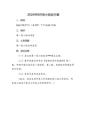 02-2024年8月党小组会方案.docx