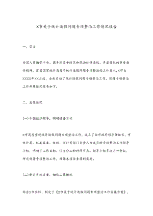 X市关于统计造假问题专项整治工作情况报告.docx