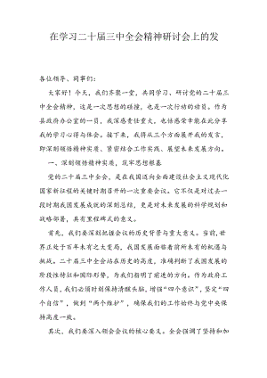 在学习二十届三中全会精神研讨会上的发言.docx