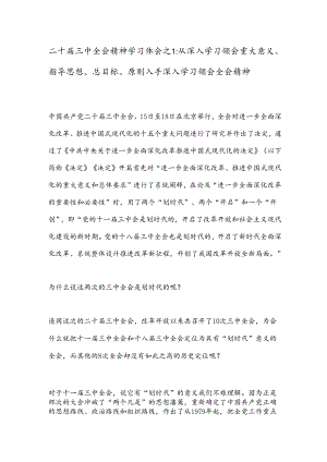 二十届三中全会精神学习体会之1：从深入学习领会重大意义、指导思想、总目标、原则入手深入学习领会全会精神.docx