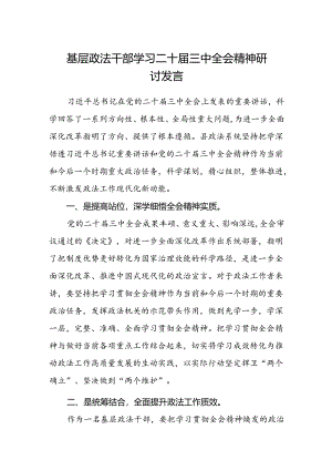 基层政法干部学习二十届三中全会精神研讨发言.docx