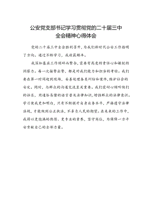公安党支部书记学习贯彻党的二十届三中全会精神心得体会.docx