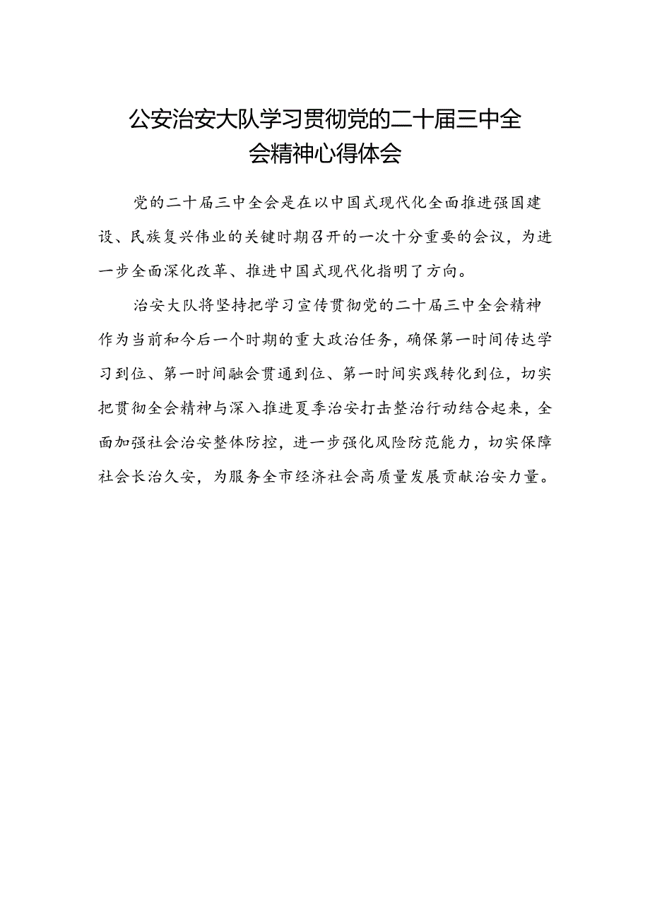 公安治安大队学习贯彻党的二十届三中全会精神心得体会.docx_第1页