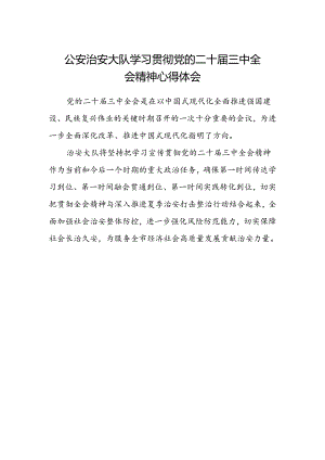 公安治安大队学习贯彻党的二十届三中全会精神心得体会.docx