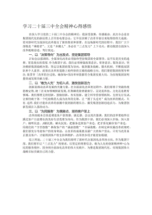 学习二十届三中全会精神心得感悟(9).docx