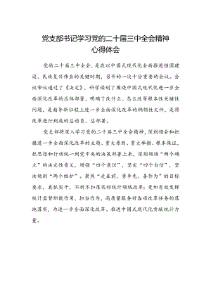 党支部书记学习党的二十届三中全会精神心得体会.docx