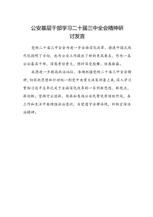 公安基层干部学习二十届三中全会精神研讨发言.docx