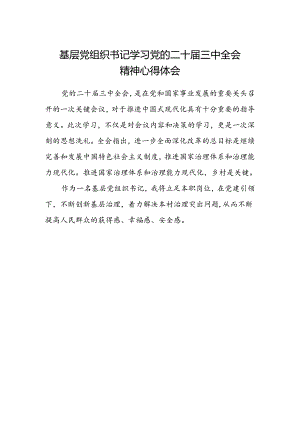 基层党组织书记学习党的二十届三中全会精神心得体会.docx