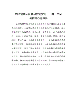 司法警察支队学习贯彻党的二十届三中全会精神心得体会.docx