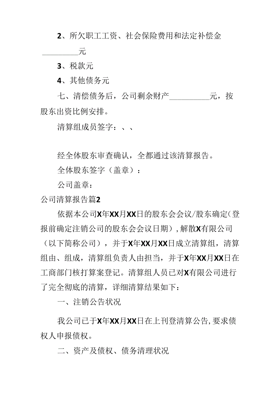 公司清算报告.docx_第2页
