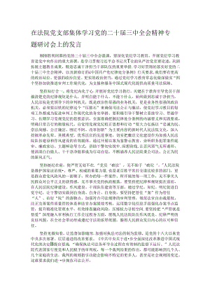 在法院党支部集体学习党的二十届三中全会精神专题研讨会上的发言.docx