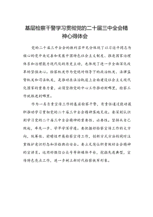 基层检察干警学习贯彻党的二十届三中全会精神心得体会 .docx