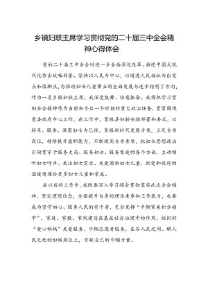 乡镇妇联主席学习贯彻党的二十届三中全会精神心得体会.docx