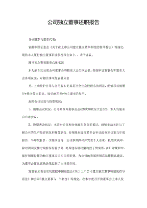 公司独立董事述职报告.docx