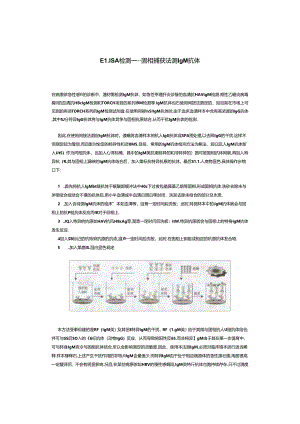 ELISA检测.docx