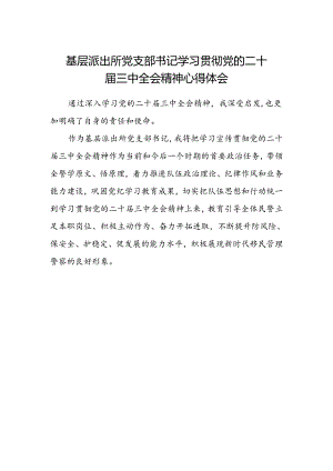 基层派出所党支部书记学习贯彻党的二十届三中全会精神心得体会.docx