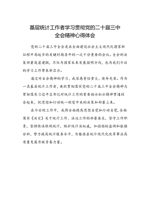 基层统计工作者学习贯彻党的二十届三中全会精神心得体会.docx
