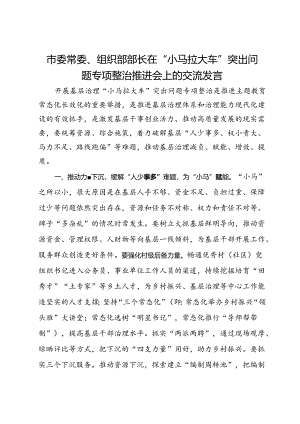 市委常委、组织部部长在“小马拉大车”突出问题专项整治推进会上的交流发言.docx