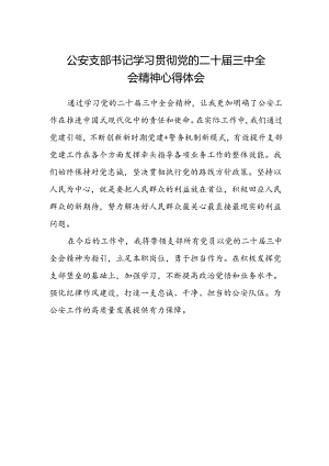 公安支部书记学习贯彻党的二十届三中全会精神心得体会.docx