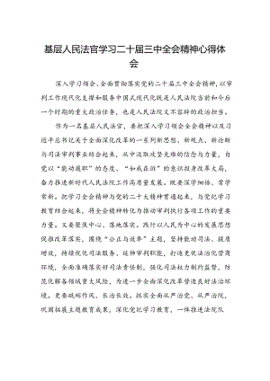 基层人民法官学习二十届三中全会精神心得体会.docx