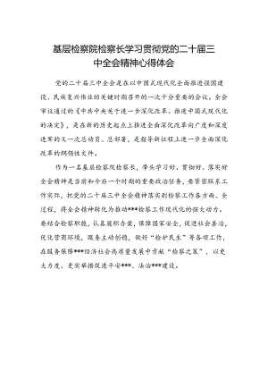 基层检察院检察长学习贯彻党的二十届三中全会精神心得体会.docx