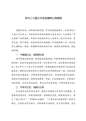 2024年学习二十届三中全会精神心得体会感悟.docx
