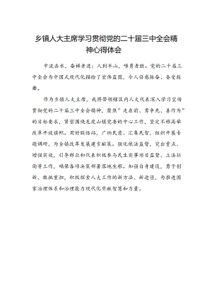 乡镇人大主席学习贯彻党的二十届三中全会精神心得体会 .docx