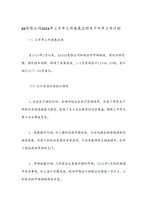 XX有限公司2024年上半年工作进展总结及下半年工作计划.docx