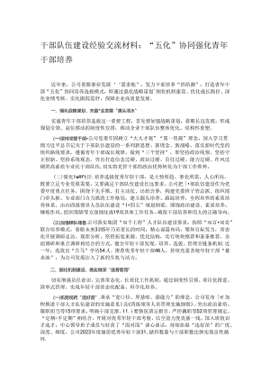干部队伍建设经验交流材料：“五化”协同强化青年干部培养.docx