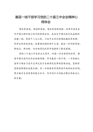 基层一线干部学习党的二十届三中全会精神心得体会.docx