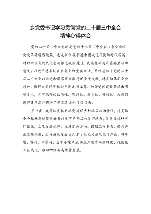 乡党委书记学习贯彻党的二十届三中全会精神心得体会 .docx