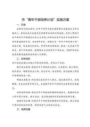 市“青年干部培养计划”实施方案.docx