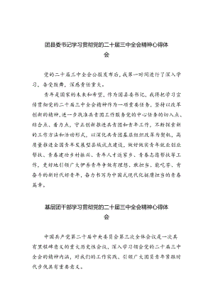 团县委书记学习贯彻党的二十届三中全会精神心得体会5篇（详细版）.docx