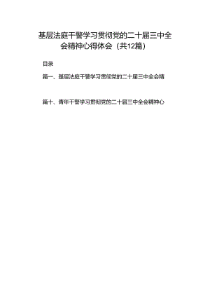 基层法庭干警学习贯彻党的二十届三中全会精神心得体会（共12篇）.docx