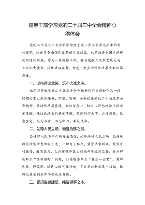 巡察干部学习党的二十届三中全会精神心得体会 .docx