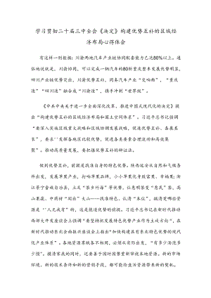学习贯彻二十届三中全会《决定》构建优势互补的区域经济布局心得体会.docx