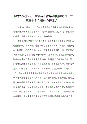 县级公安机关主要领导干部学习贯彻党的二十届三中全会精神心得体会.docx