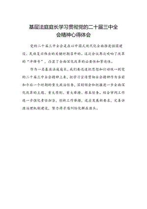 基层法庭庭长学习贯彻党的二十届三中全会精神心得体会.docx