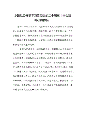乡镇党委书记学习贯彻党的二十届三中全会精神心得体会.docx