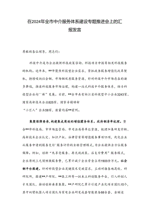 在2024年全市中介服务体系建设专题推进会上的汇报发言.docx