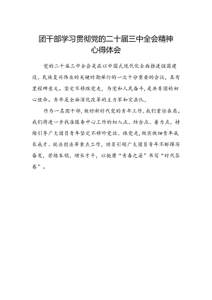 团干部学习贯彻党的二十届三中全会精神心得体会 .docx