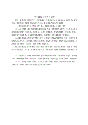 党支部民主生活会制度.docx