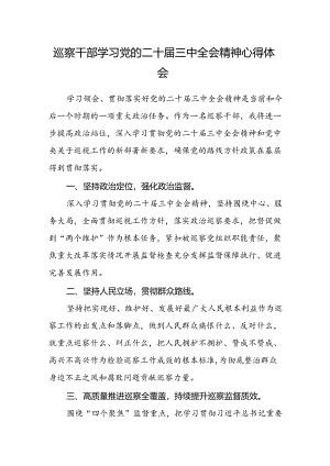 巡察干部学习党的二十届三中全会精神心得体会范文.docx