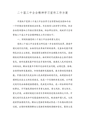 2024年二十届三中全会精神学习宣传工作方案.docx