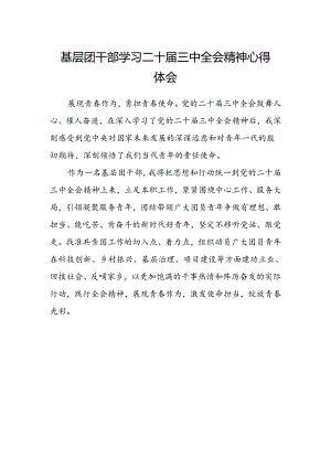 基层团干部学习二十届三中全会精神心得体会.docx