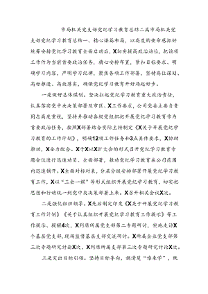市局机关党支部党纪学习教育总结二篇.docx